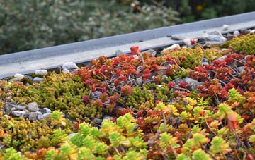 the cost of Siddal green roof installation